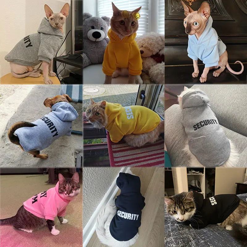 Pet Security Outfit for Dogs & Cats